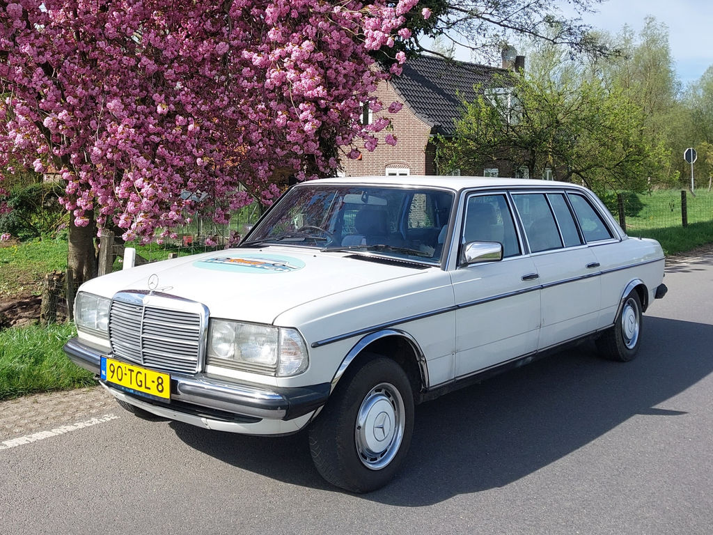 Mercedes-Benz 250 Pullman | 1984, foto 1