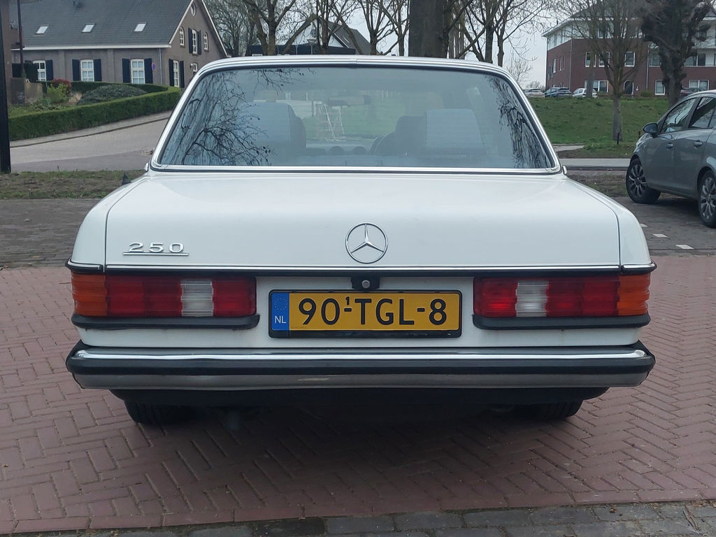 Mercedes-Benz 250 Pullman | 1984, foto 6