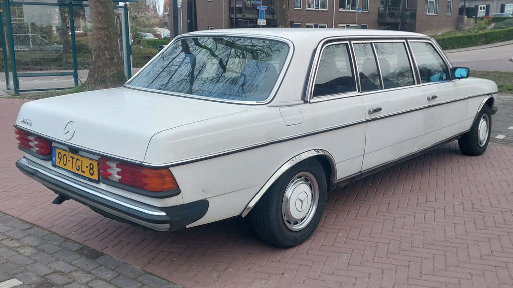 Mercedes-Benz 250 Pullman | 1984, foto 7
