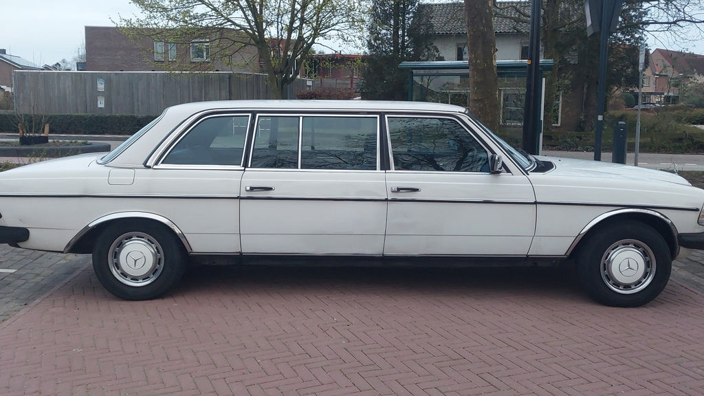Mercedes-Benz 250 Pullman | 1984, foto 8