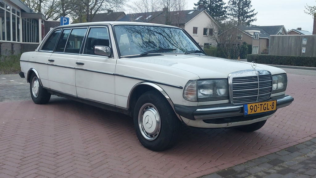 Mercedes-Benz 250 Pullman | 1984, foto 9
