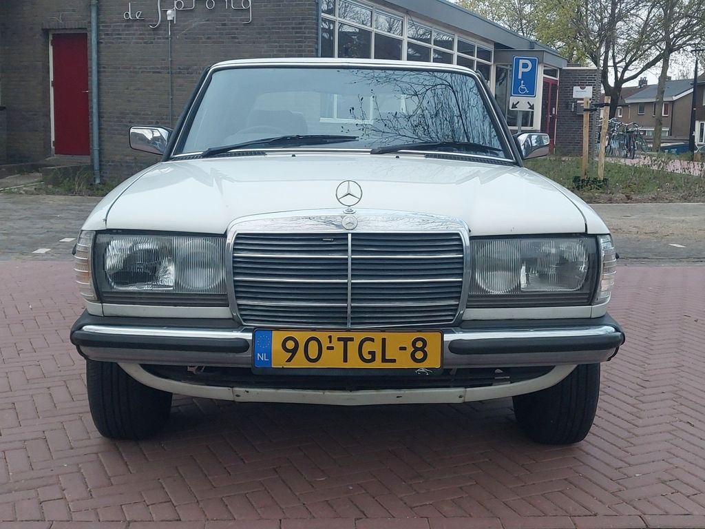 Mercedes-Benz 250 Pullman | 1984, foto 10