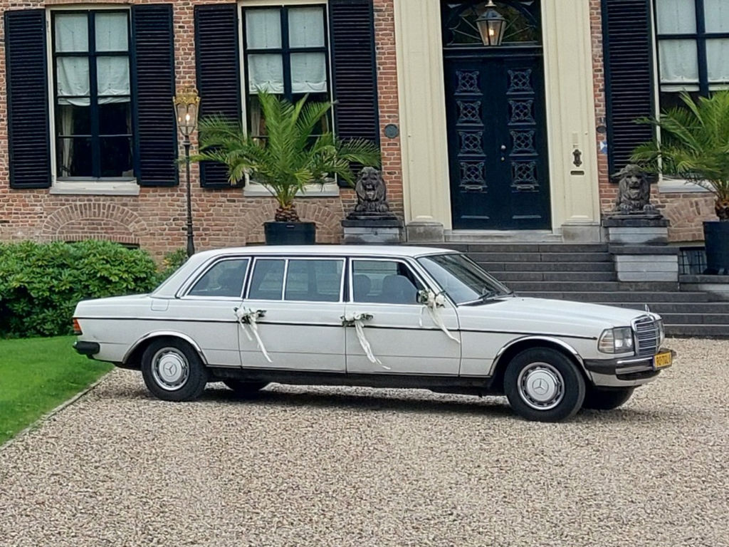 Mercedes-Benz 250 Pullman | 1984, foto 12