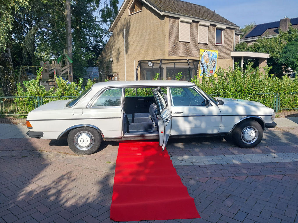 Mercedes-Benz 250 Pullman | 1984, foto 11