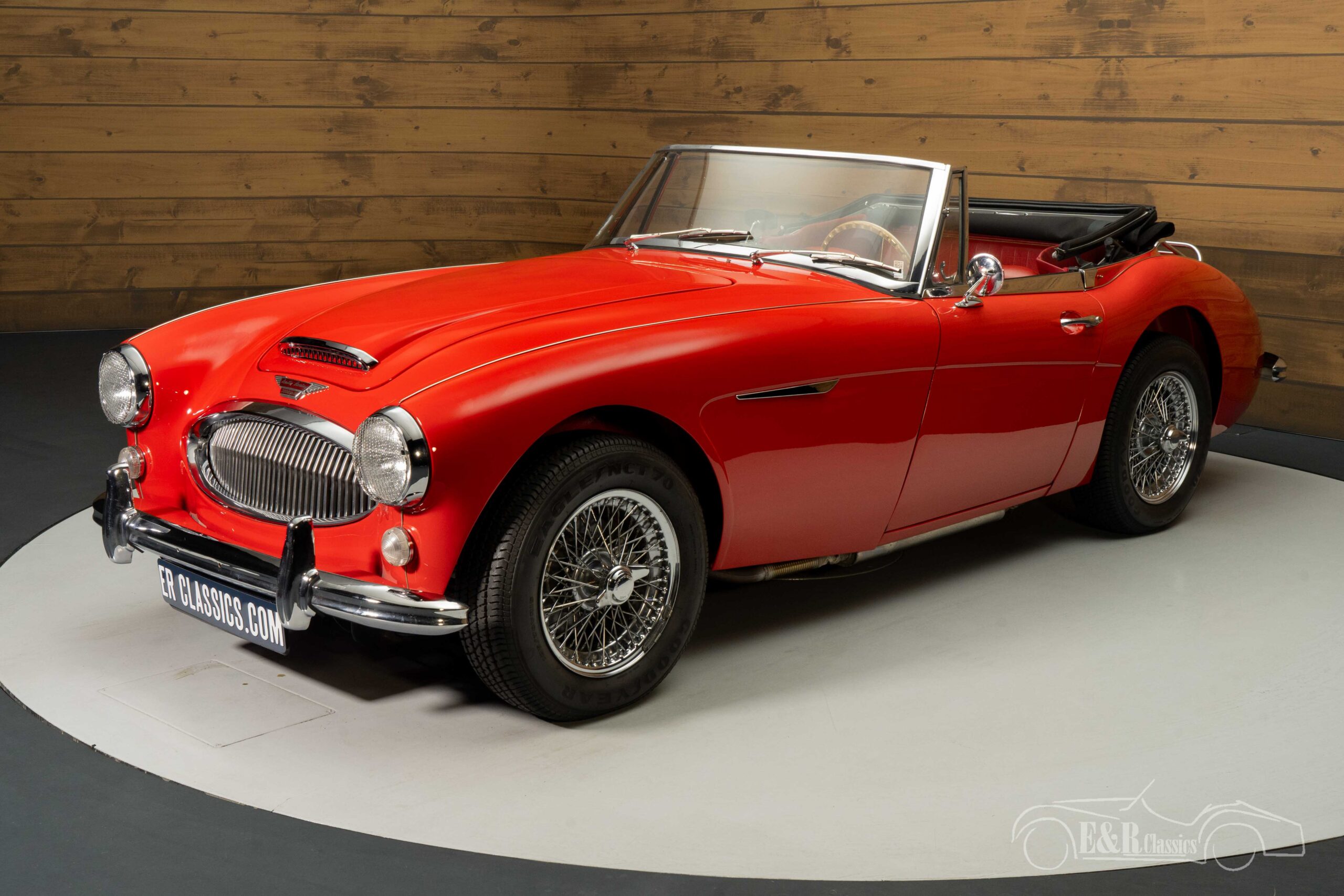 Imagen 5