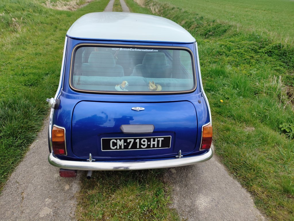 Austin Mini 1000 | 1983, foto 6