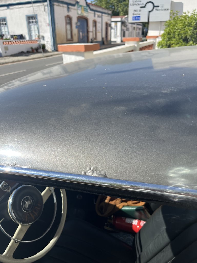 Mercedes-Benz 220 SEb Coupé | 1961, foto 12