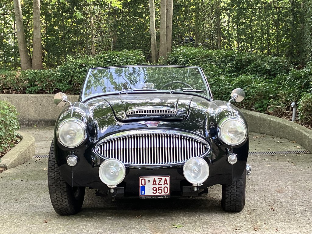 Austin-Healey 3000 Mark II BT7 | 1962, foto 1