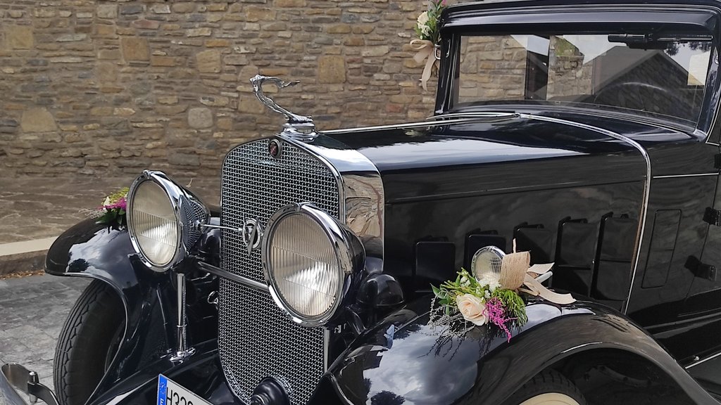 Cadillac Series 355-A Town Sedan | 1931, foto 5