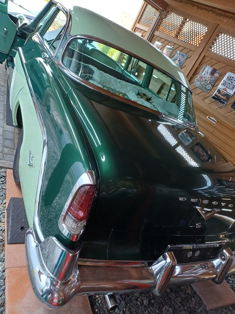 DeSoto Fireflite | 1955, foto 5