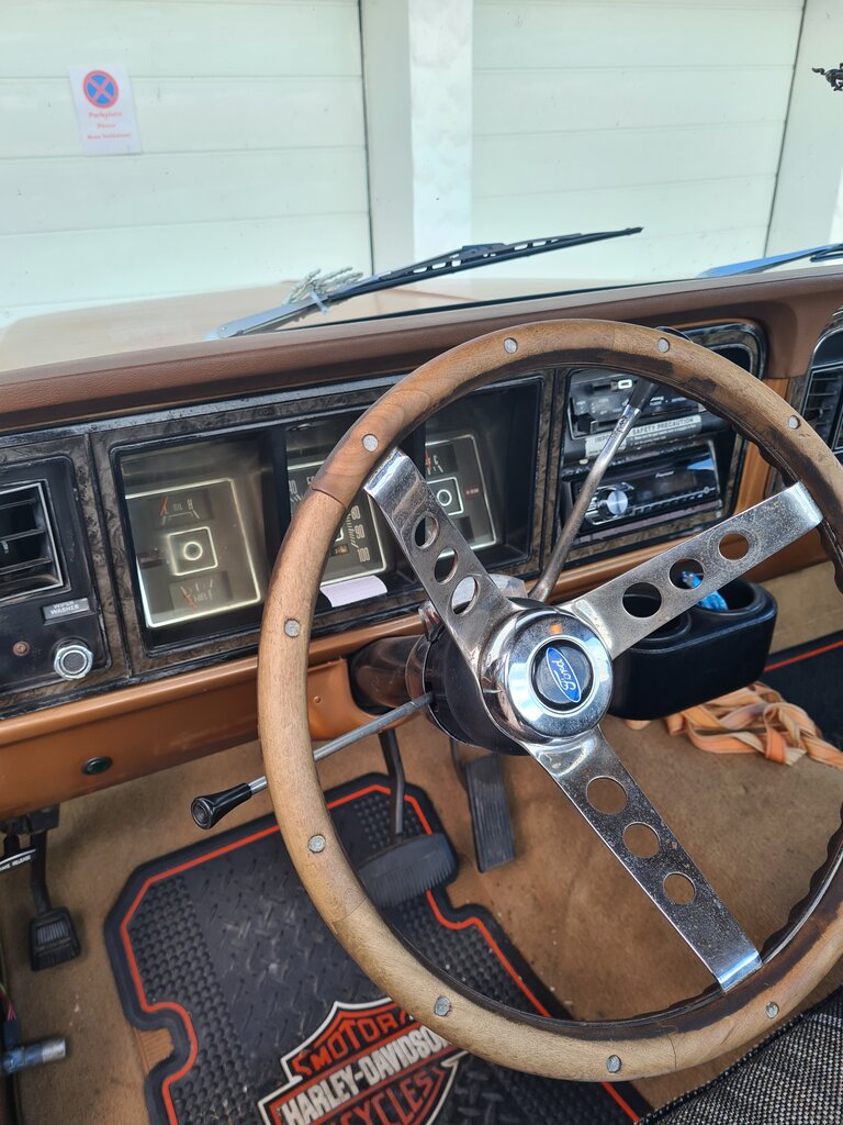 Ford F-250 XLT Ranger | 1974, foto 2