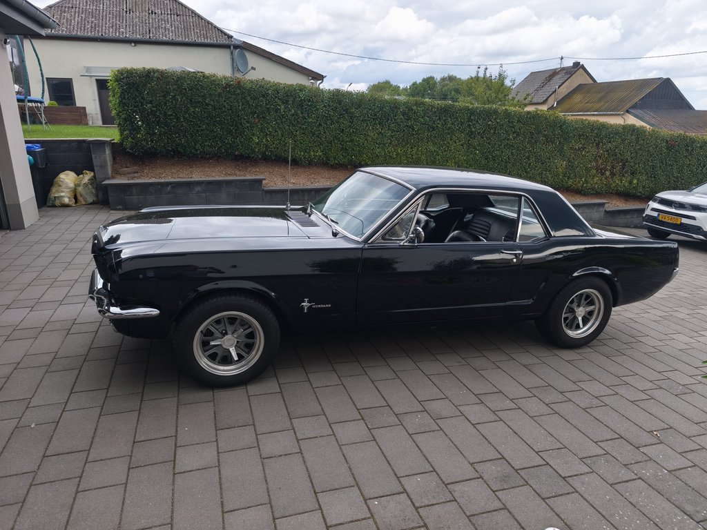Ford Mustang Hardtop 289 V8 | 1965, foto 3