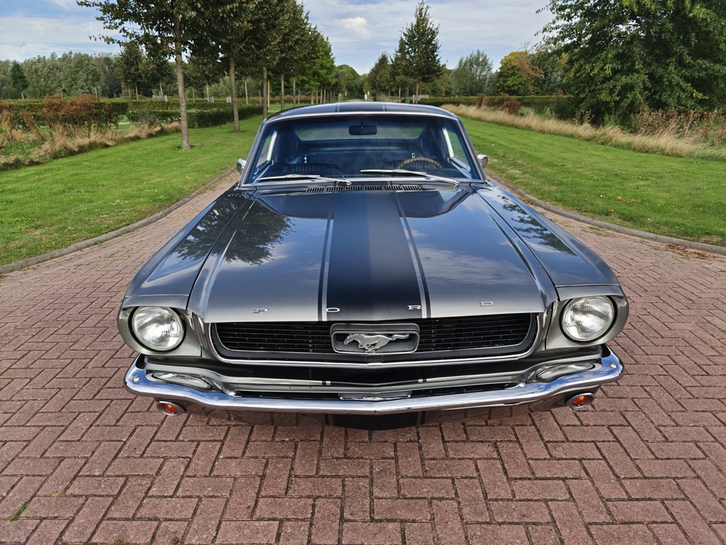 Ford Mustang Fastback C-Code | 1966, foto 3