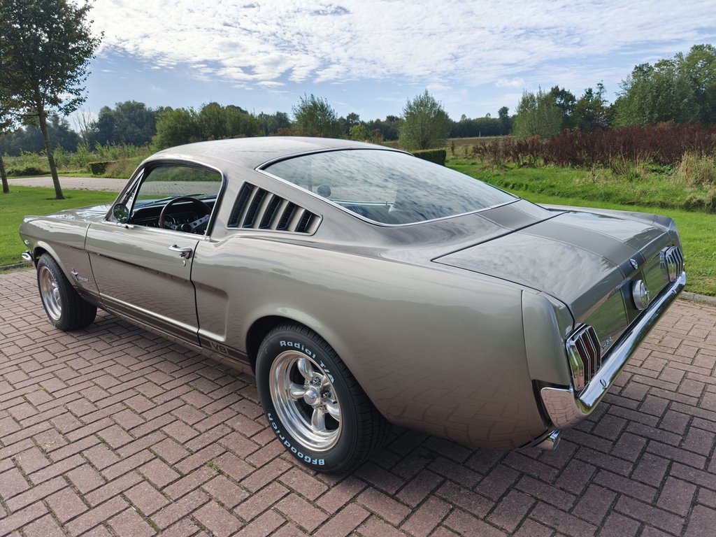 Ford Mustang Fastback C-Code | 1966, foto 5