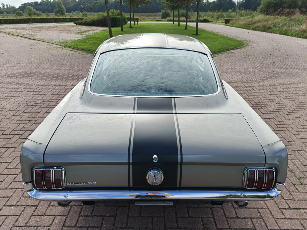 Ford Mustang Fastback C-Code | 1966, foto 6