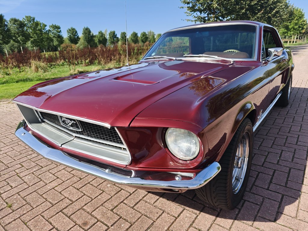 Ford Mustang Hardtop C-Code | 1968, foto 4