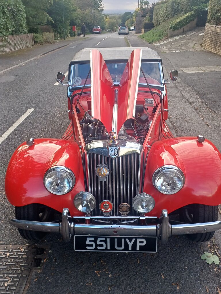MG TF Midget | 1954, foto 3