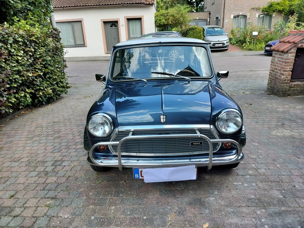 Mini 1000 Special | 1989, foto 3