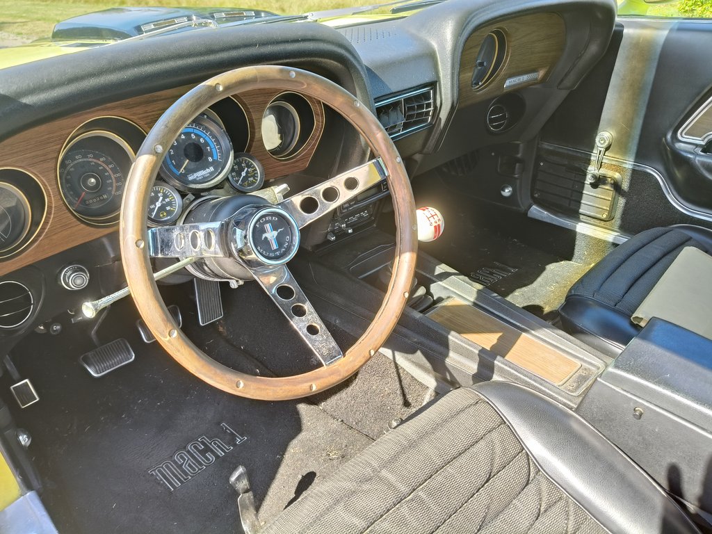 Ford Mustang Mach 1 | 1970, foto 2